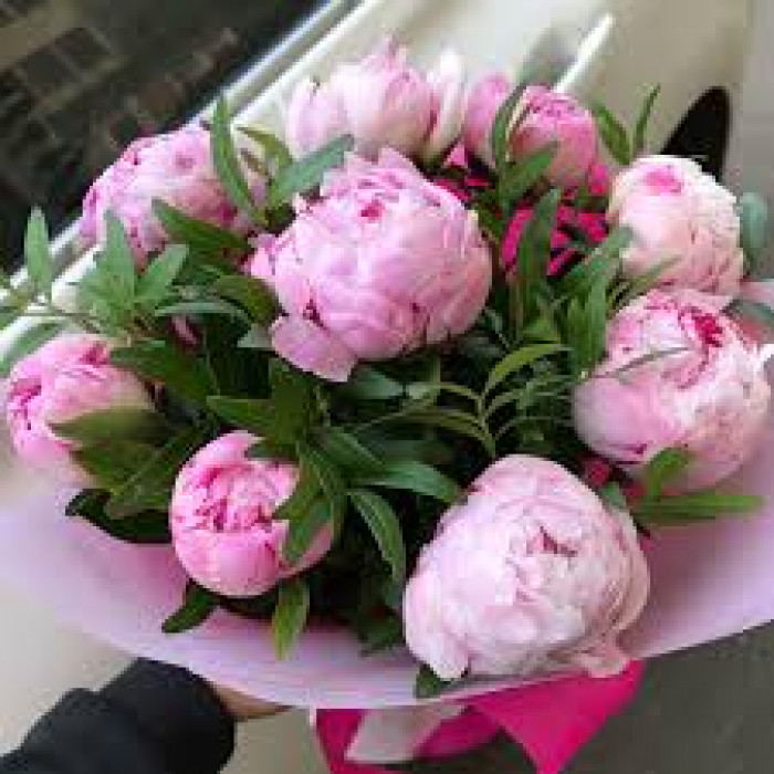 Пион древовидный в Жанаозене