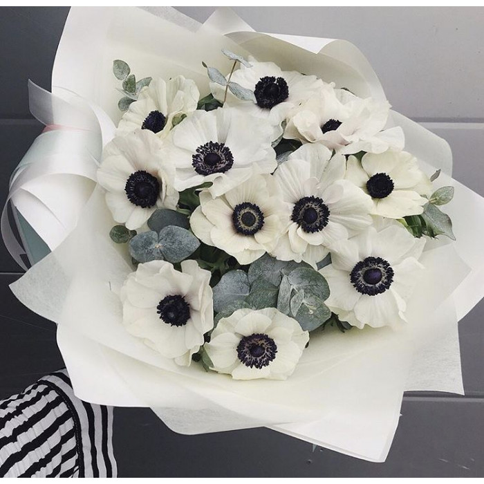 Анемоны в Жанаозене