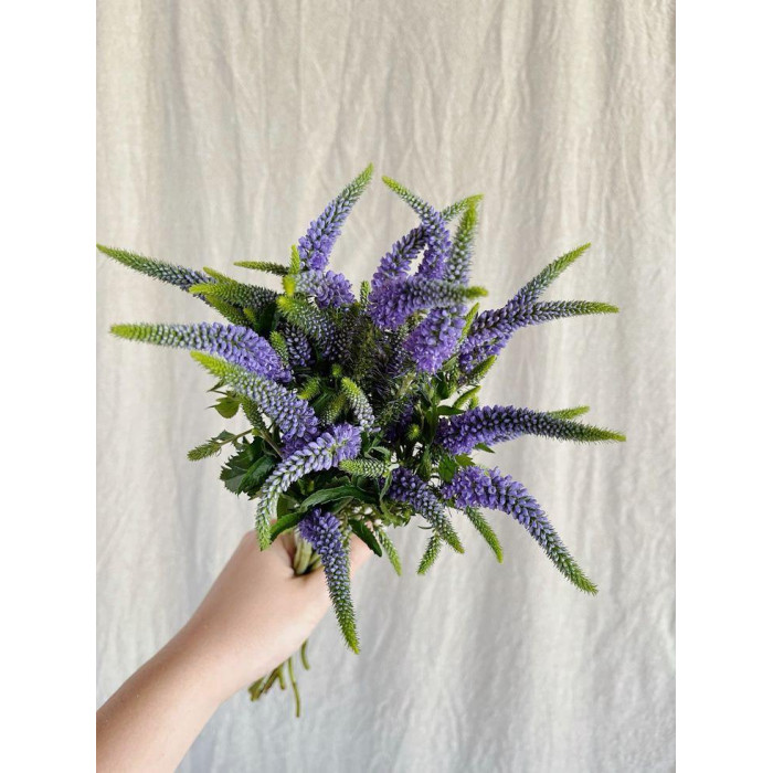 Вероника в Жанаозене