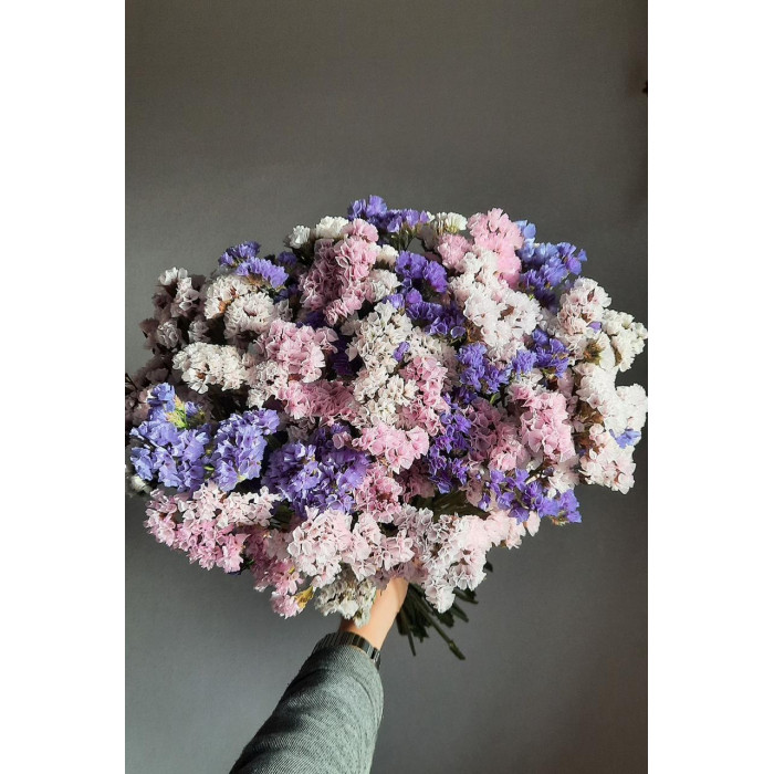 Статица (Лимониум) в Жанаозене