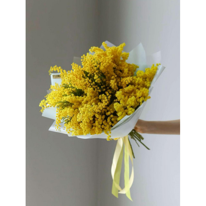 Мимоза в Жанаозене