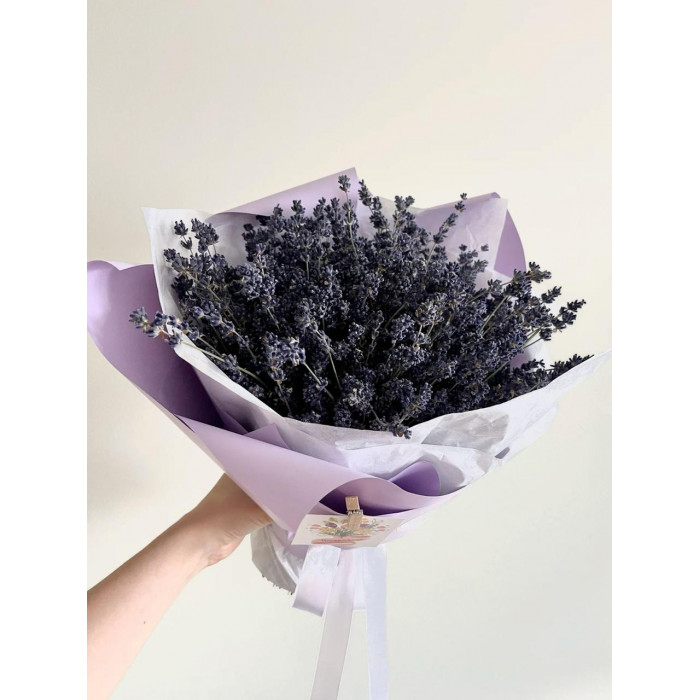 Лаванда в Жанаозене