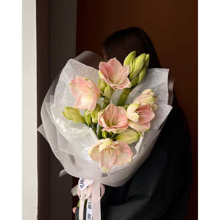 Амариллис в Жанаозене