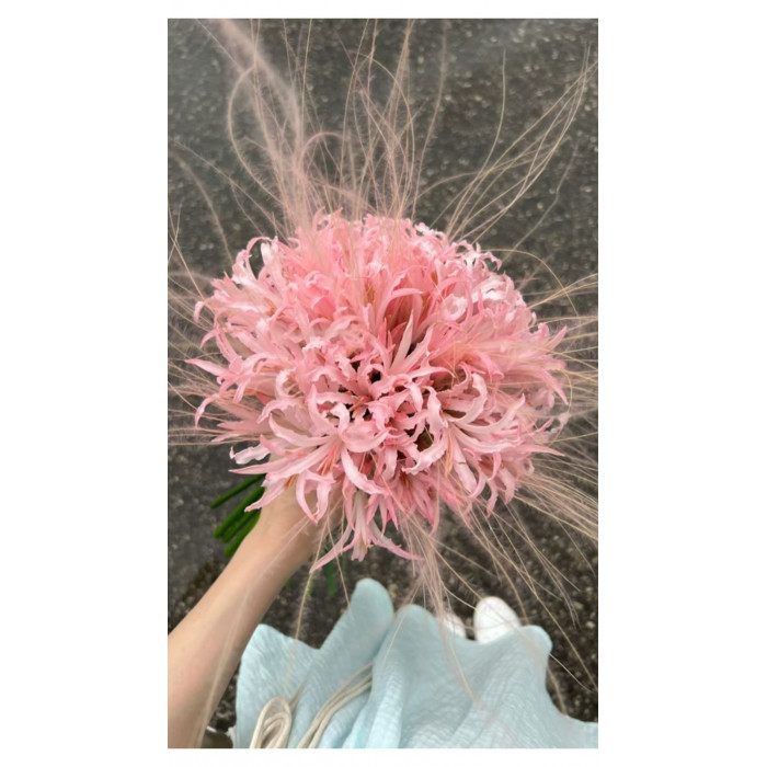 Нерине в Жанаозене