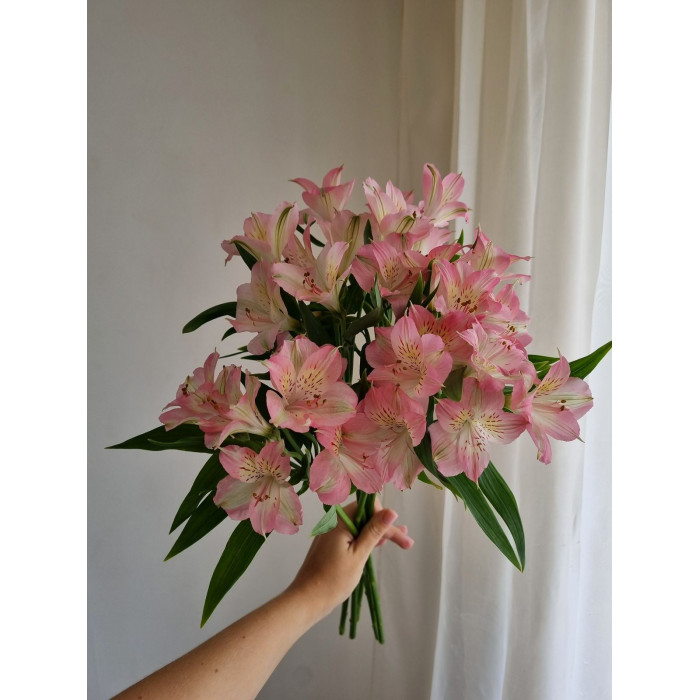 Альпиния в Жанаозене