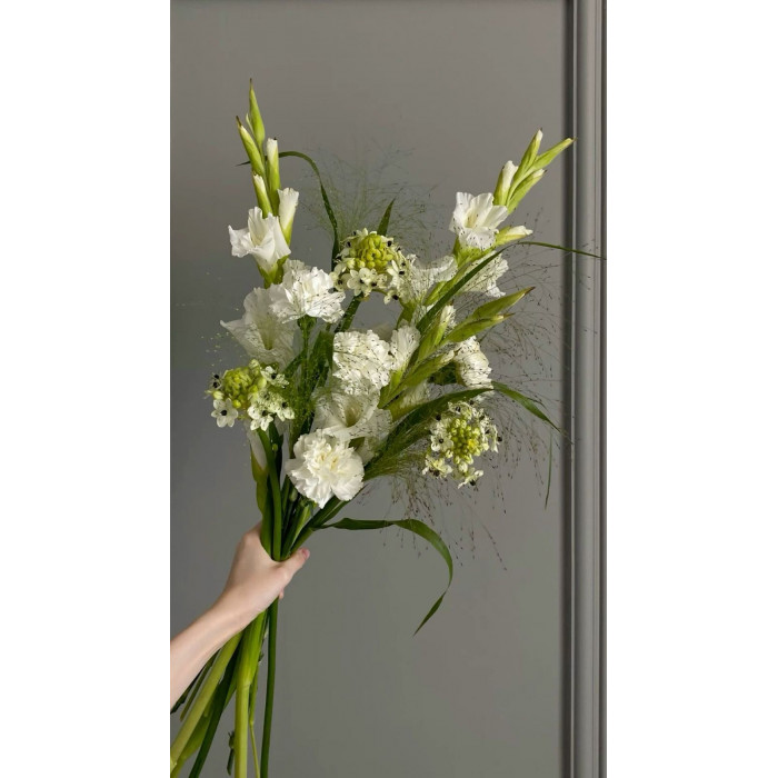 Орнитогалум в Жанаозене