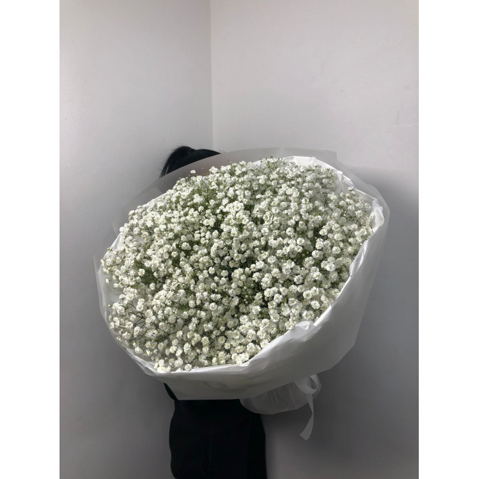 Гипсофила классическая в Жанаозене