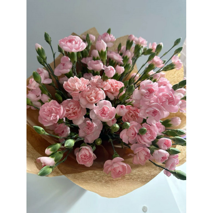 Кустовые гвоздики в Жанаозене