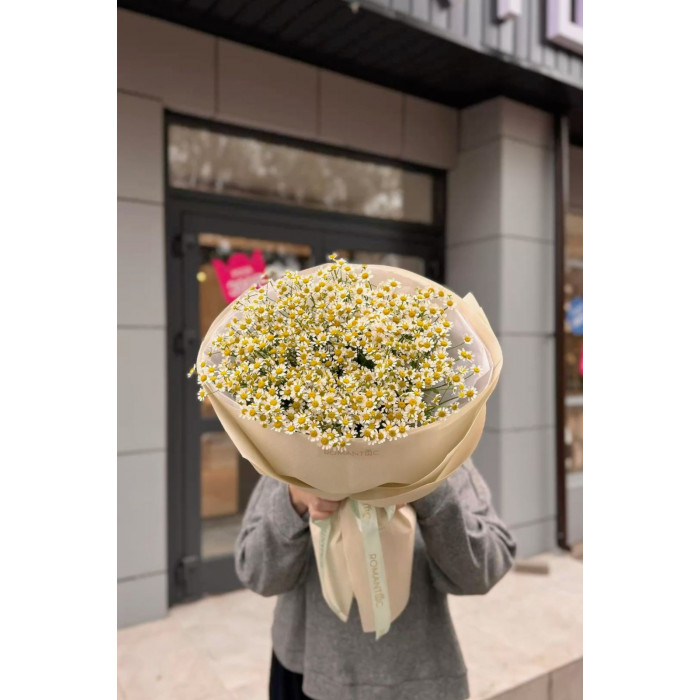 Танацетум в Жанаозене