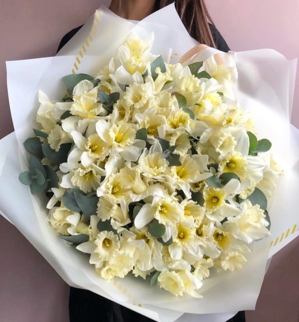 Купить нарциссы интернет магазин